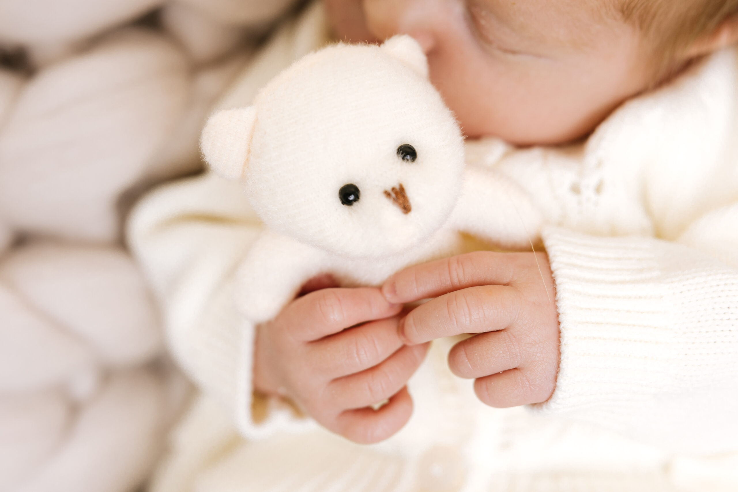 Newborn baby's hands holding a small white teddy bear, dressed in a white knitted outfit during a photoshoot.